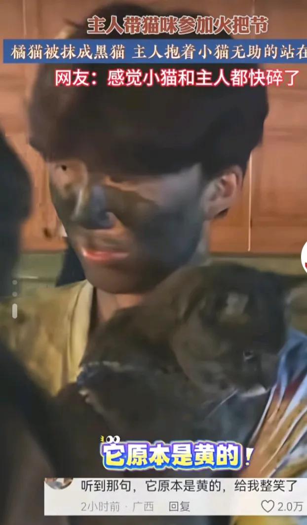 貓咪參加云南火把節秒變黑貓警長