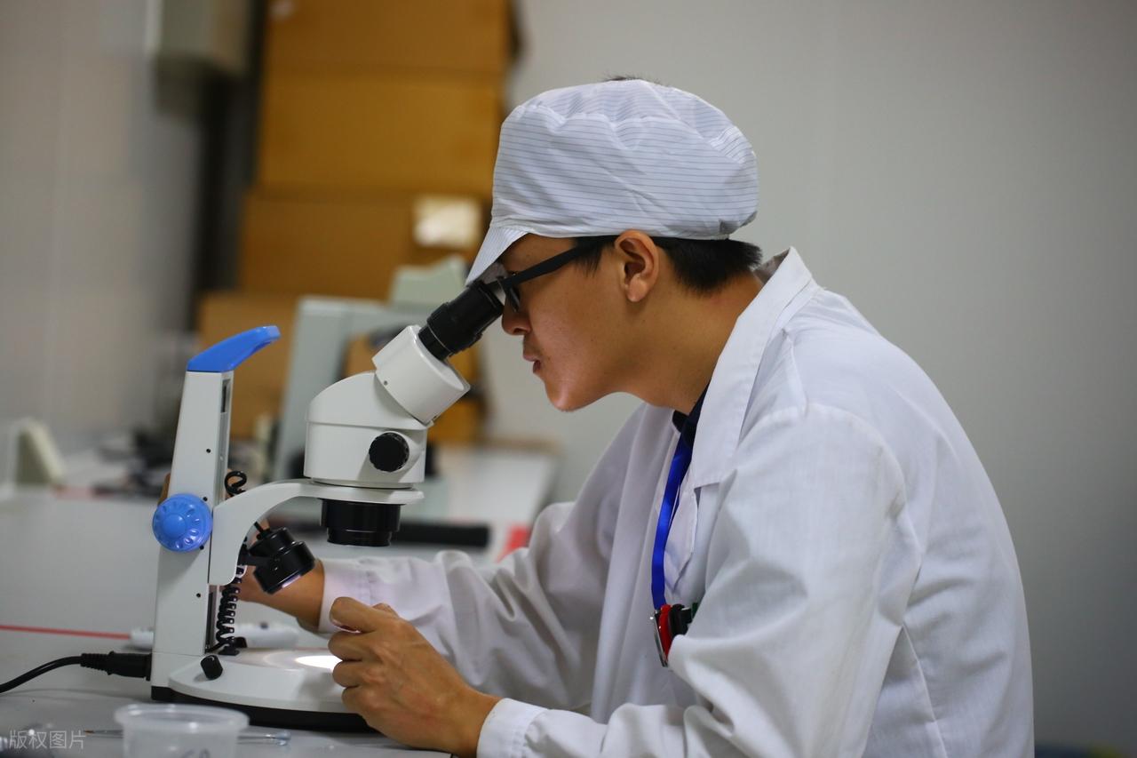 全球最大蚊子工廠在巴西建成