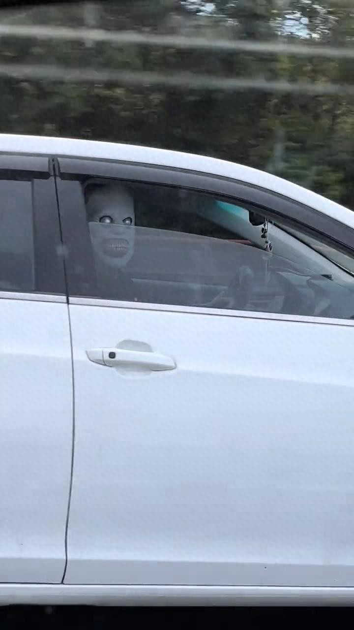 高速上有人戴恐怖面具嚇過路車輛