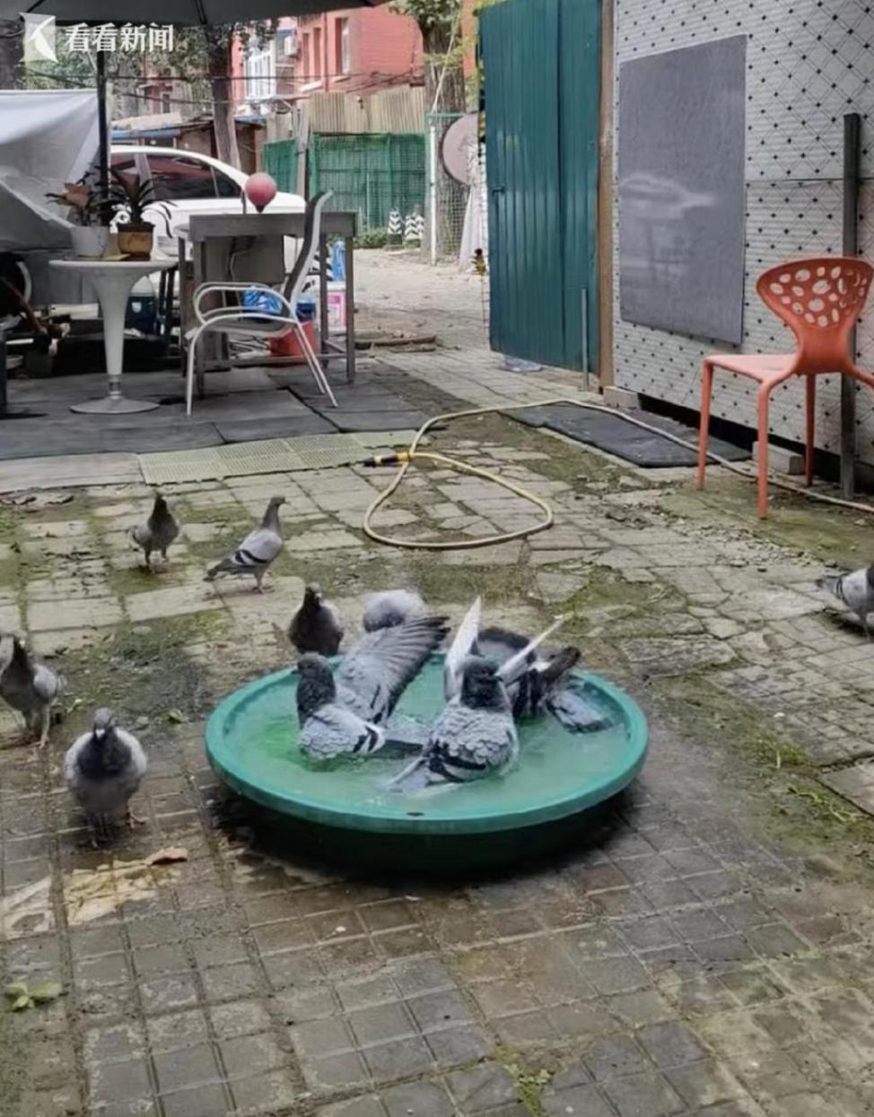 8萬只氣球緣何直徑都是26厘米左右