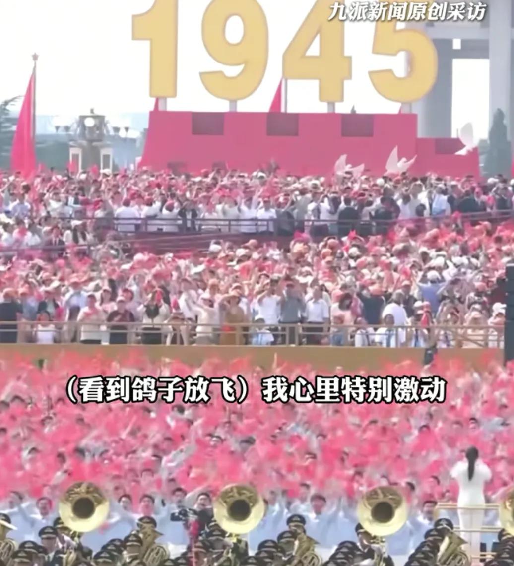 信鴿協會回應市民救助落水和平鴿