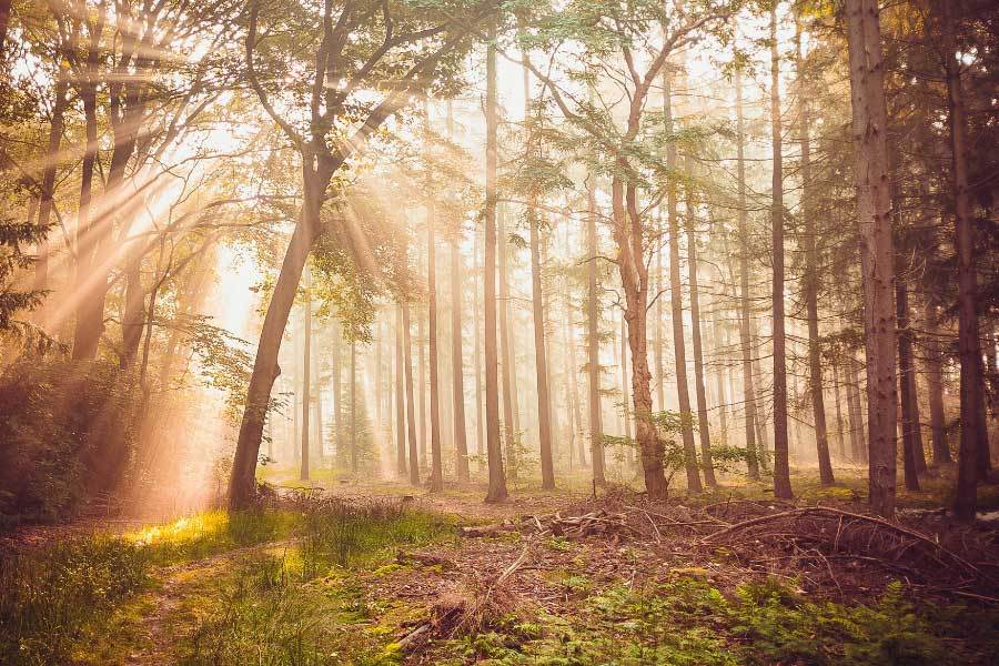 電動汽車性能測試,加速和續航領先